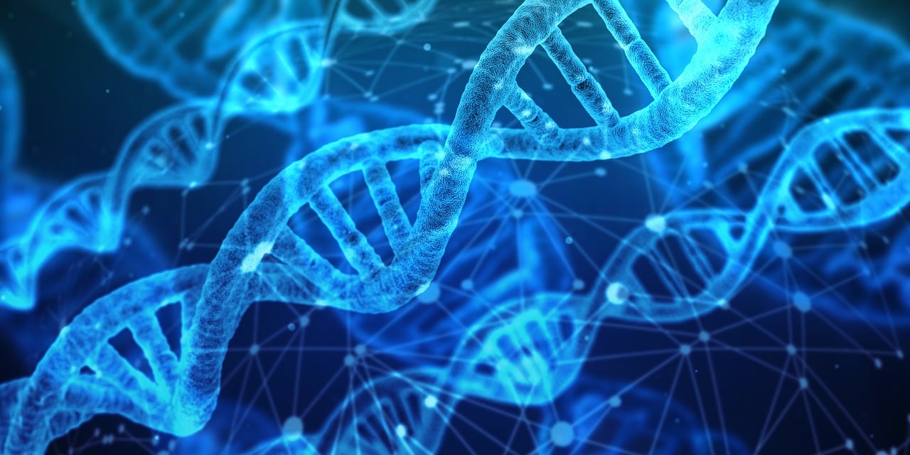 火焰復合劑火貼劑：確保復合材料在長期使用和拉伸應力下，粘合界面不發生分層、起泡或開裂，保持復合結構的完整性